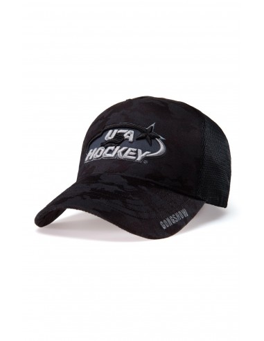 50 States Of Hockey en linge